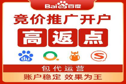 行业标杆：SEM托管公司案例解析